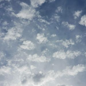 Meet your Posher, Harleigh